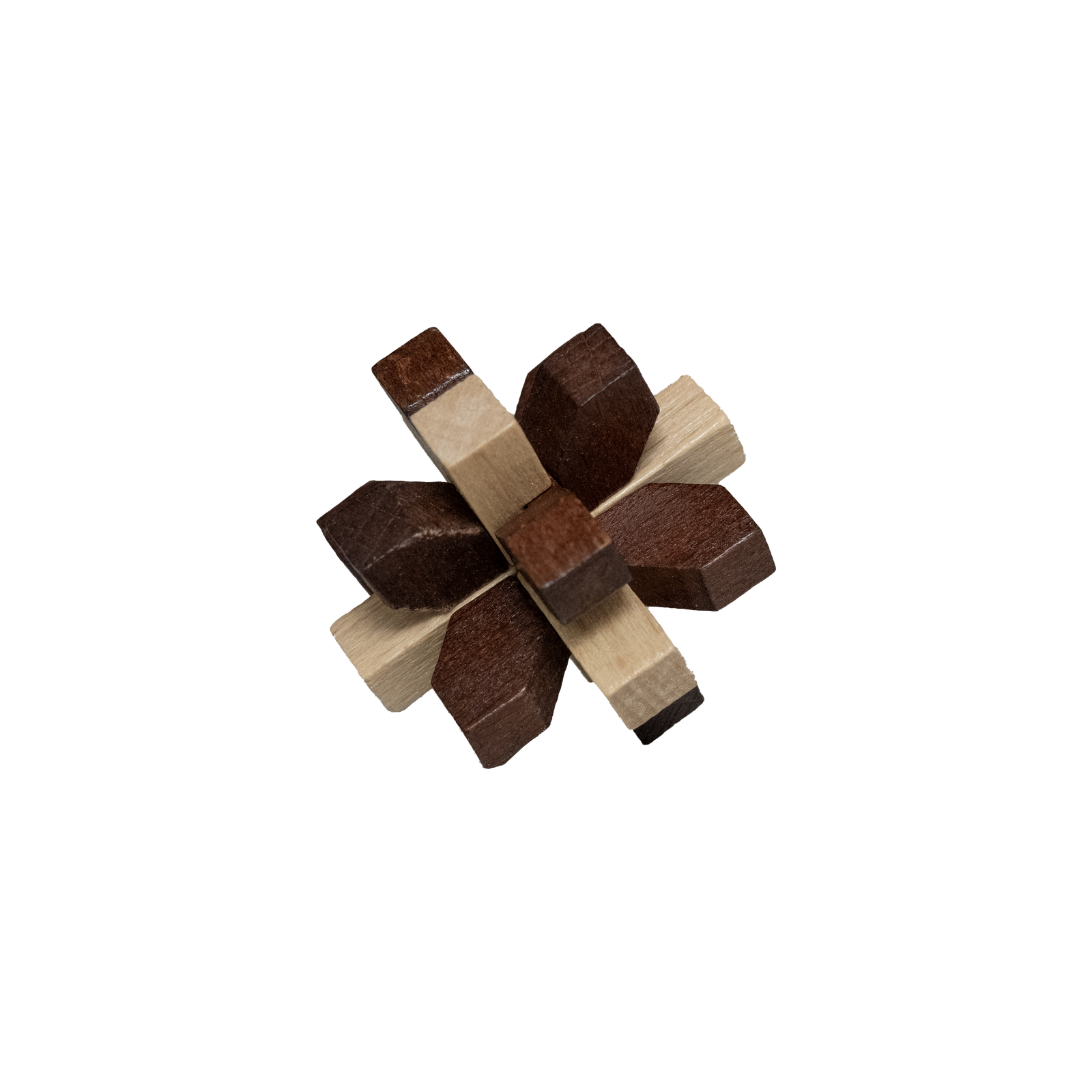 True Genius Curated Collection (5pc Mini-Puzzle Gift Set)