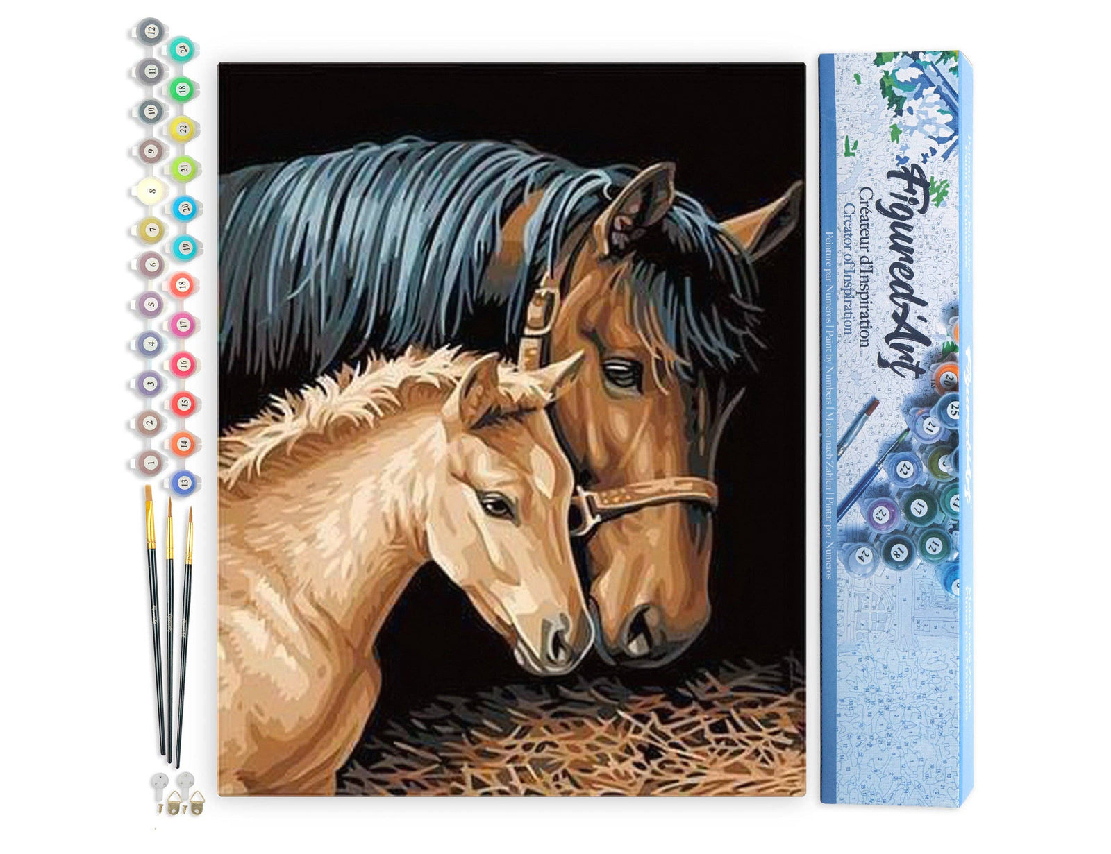 Paint by numbers - Horse and Foal