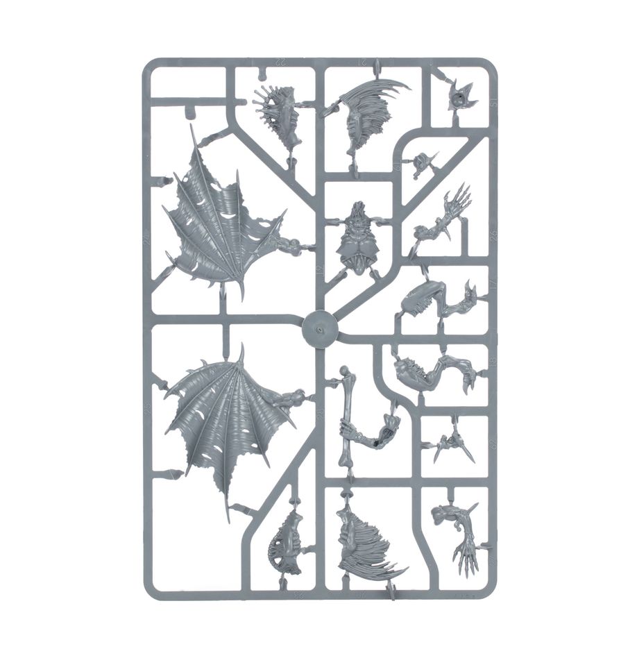 Spearhead: Flesh-eater Courts – Charnel Watch