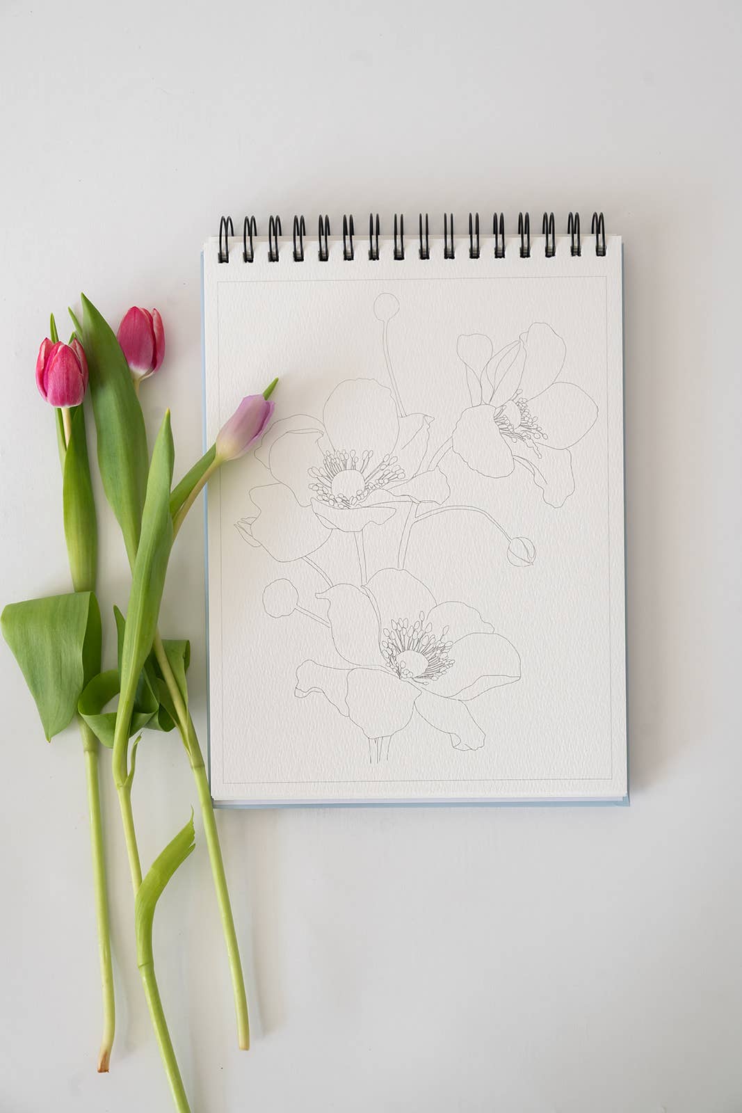 Floral Watercoloring Book - Outlines with Video Tutorials