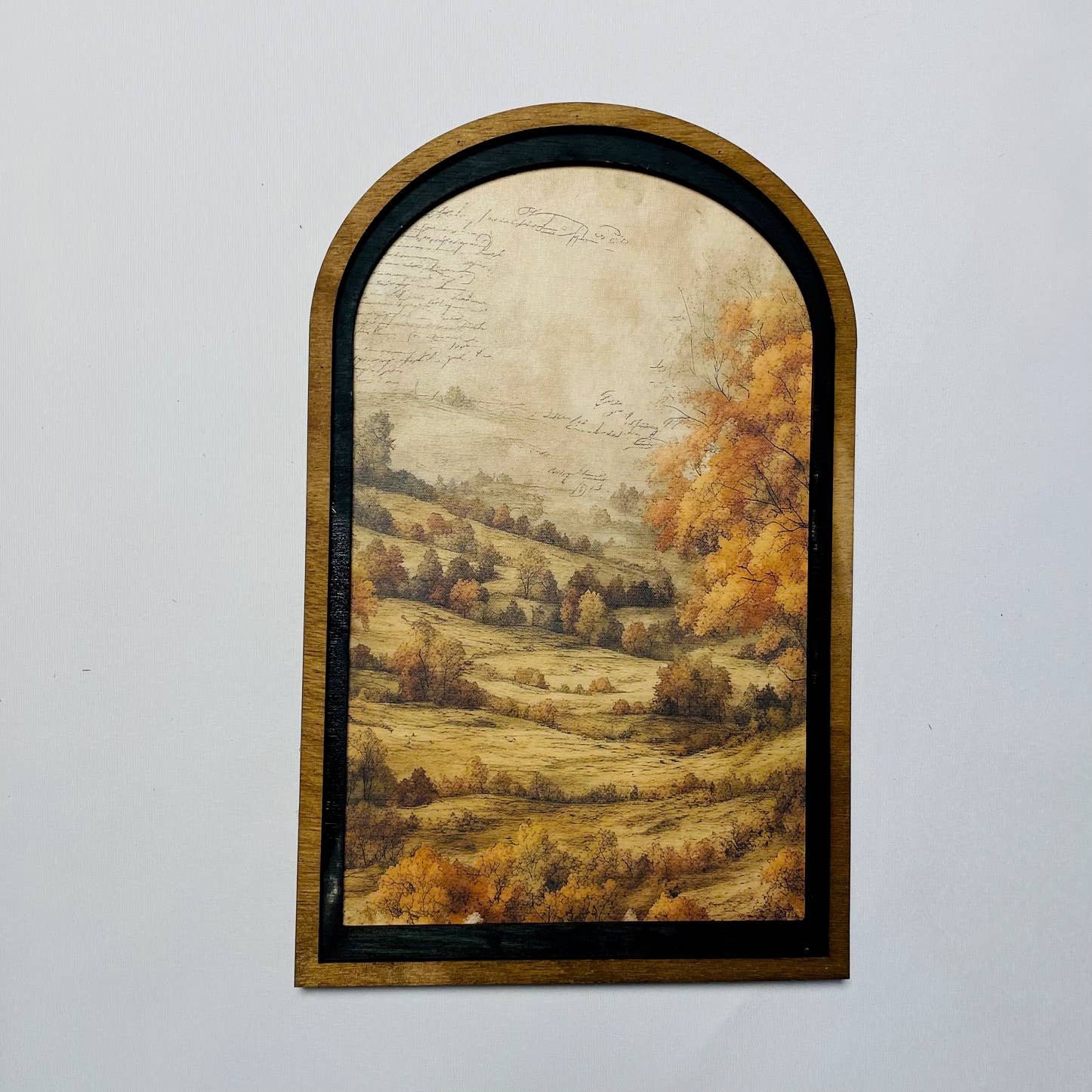 Fall Countryside framed in Med Arch