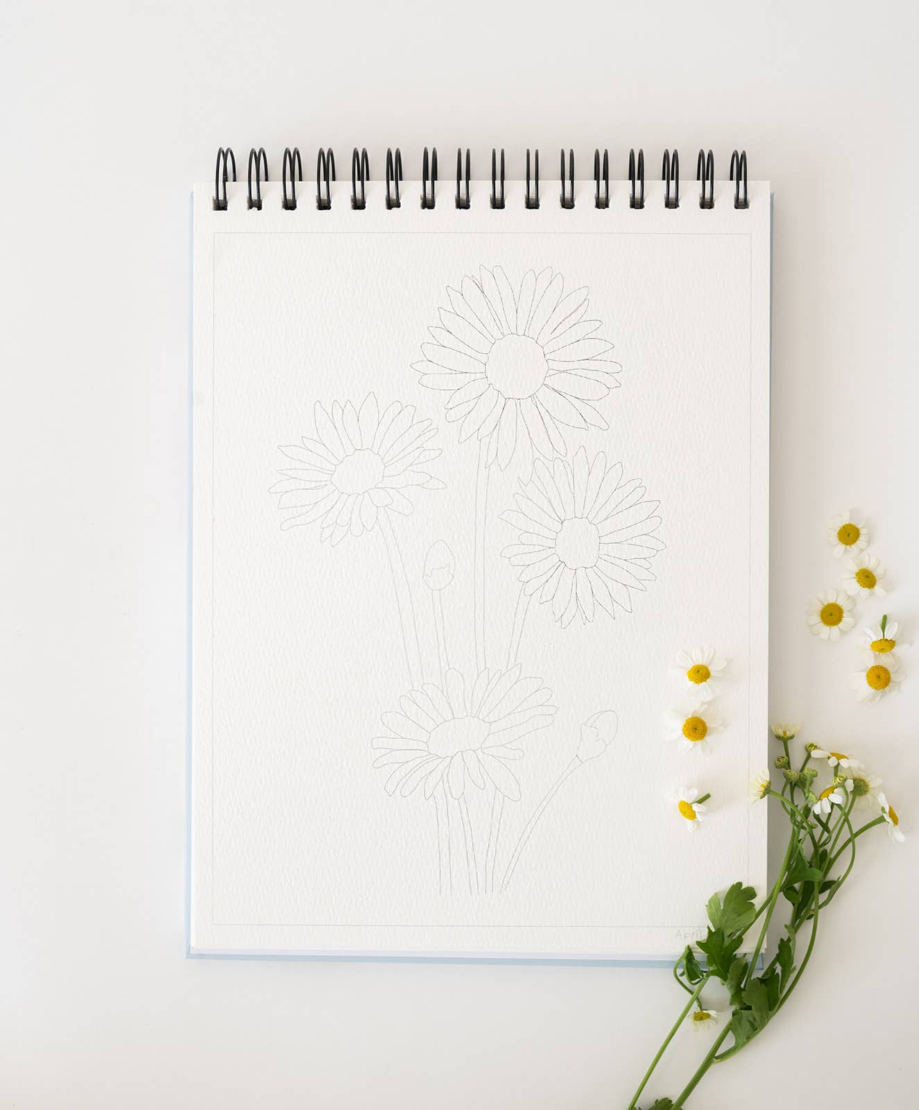 Floral Watercoloring Book - Outlines with Video Tutorials