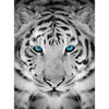 Silver Tiger Diamond Painting Kit