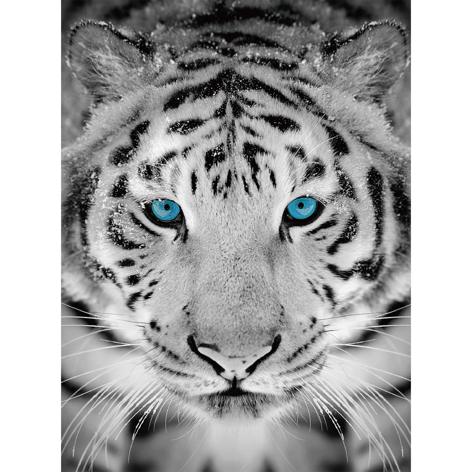 Silver Tiger Diamond Painting Kit
