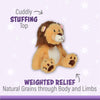 Louie Lion Warm Pal