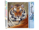 Paint by numbers - Tiger Look