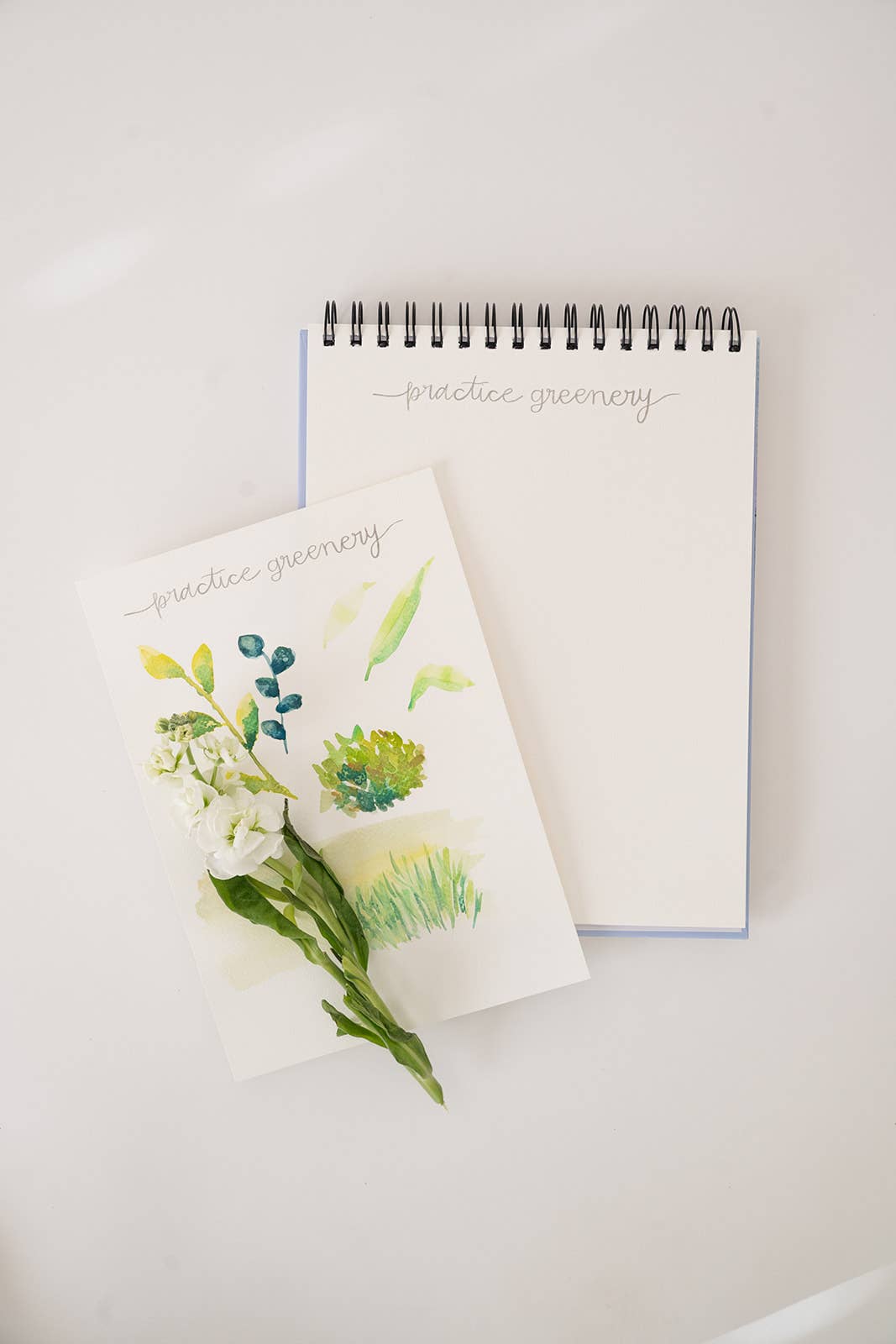 Watercoloring Book - Landscape Outlines with Video Tutorials