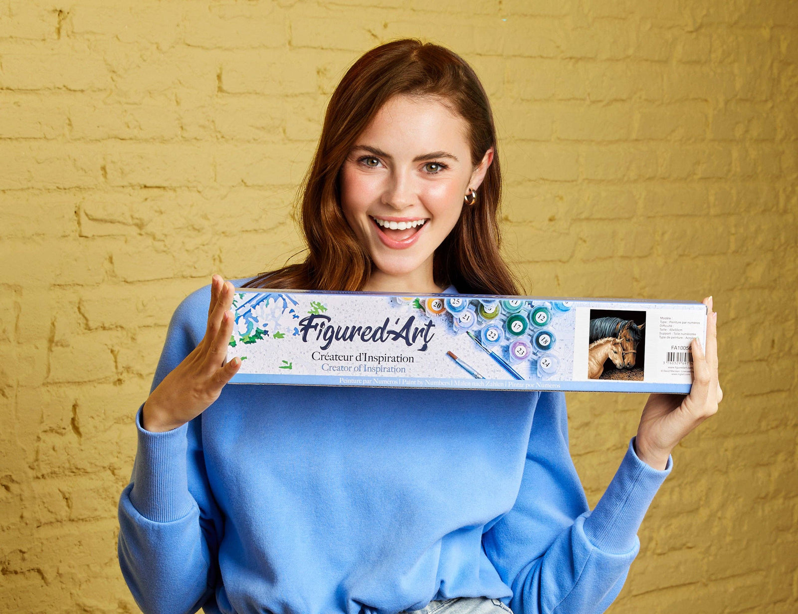 Paint by numbers - Horse and Foal