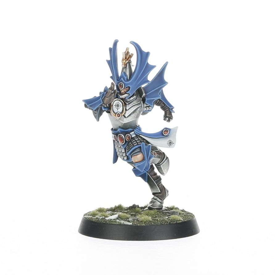 High Elf Blood Bowl Team: The Caledor Dragons