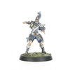 High Elf Blood Bowl Team: The Caledor Dragons