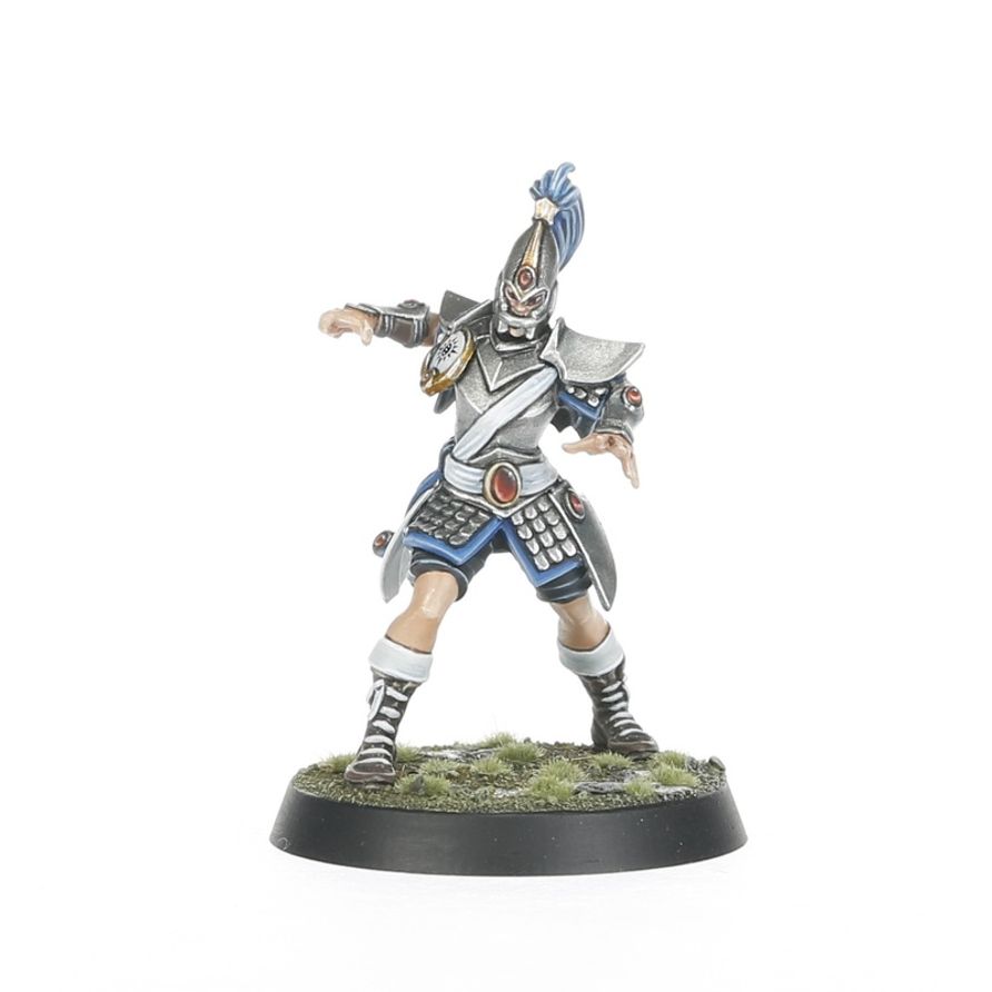 High Elf Blood Bowl Team: The Caledor Dragons