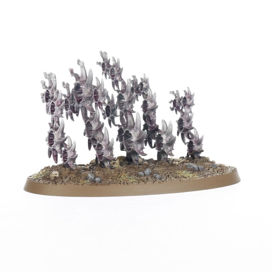 Regiment of Renown: The Accursed Reflection