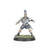 High Elf Blood Bowl Team: The Caledor Dragons