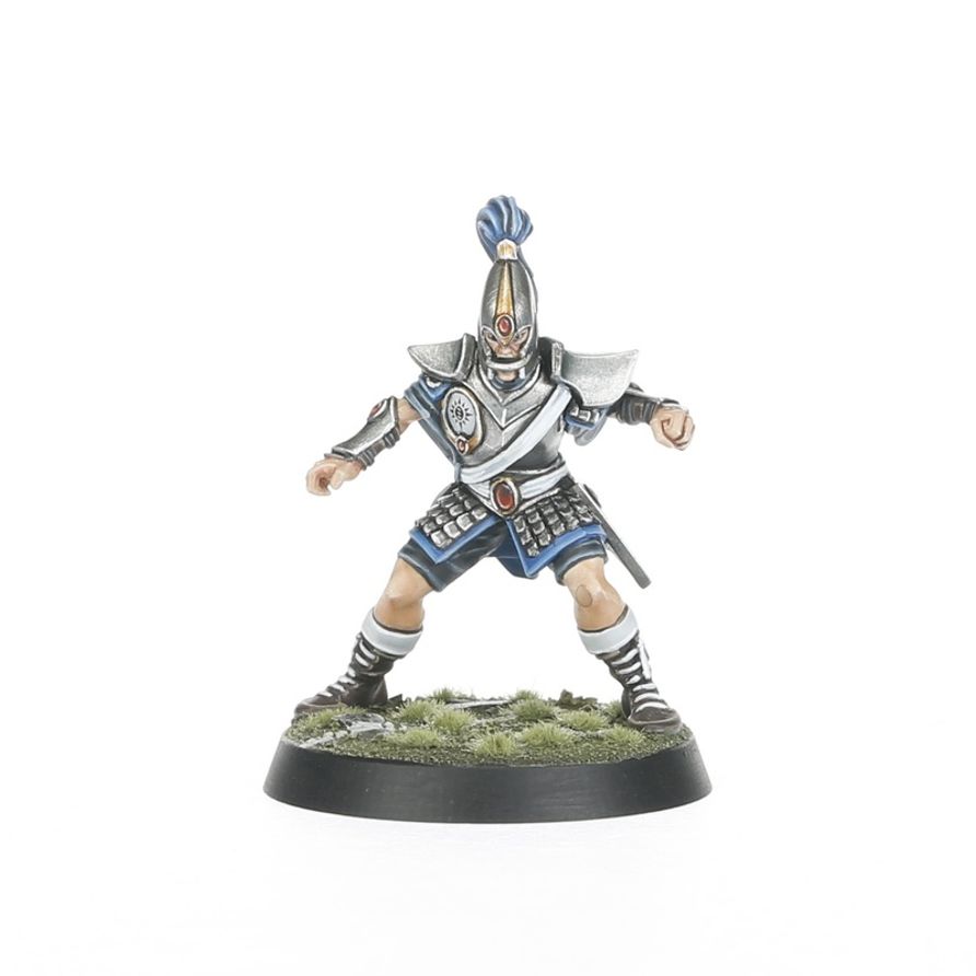 High Elf Blood Bowl Team: The Caledor Dragons