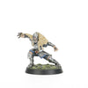 High Elf Blood Bowl Team: The Caledor Dragons