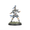 High Elf Blood Bowl Team: The Caledor Dragons