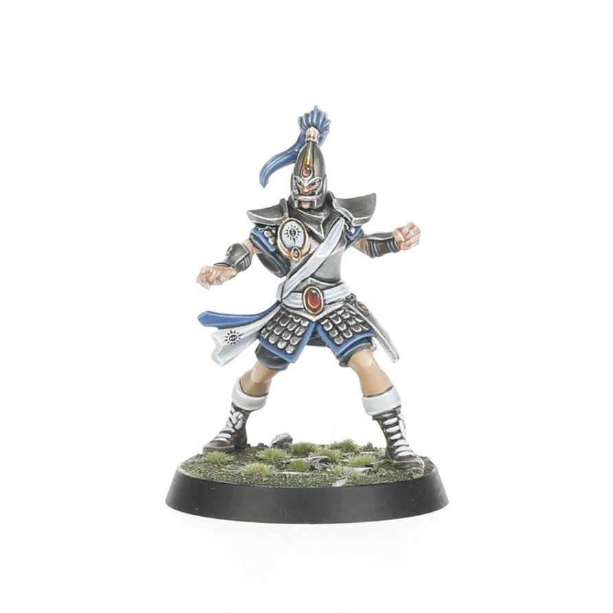 High Elf Blood Bowl Team: The Caledor Dragons