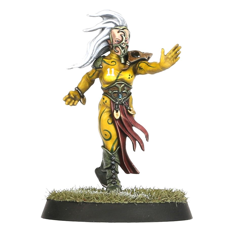 Wood Elf Blood Bowl Team – Athelorn Avengers