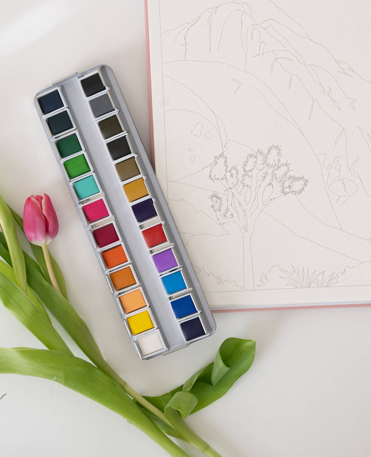 24 Color Watercolor Palette