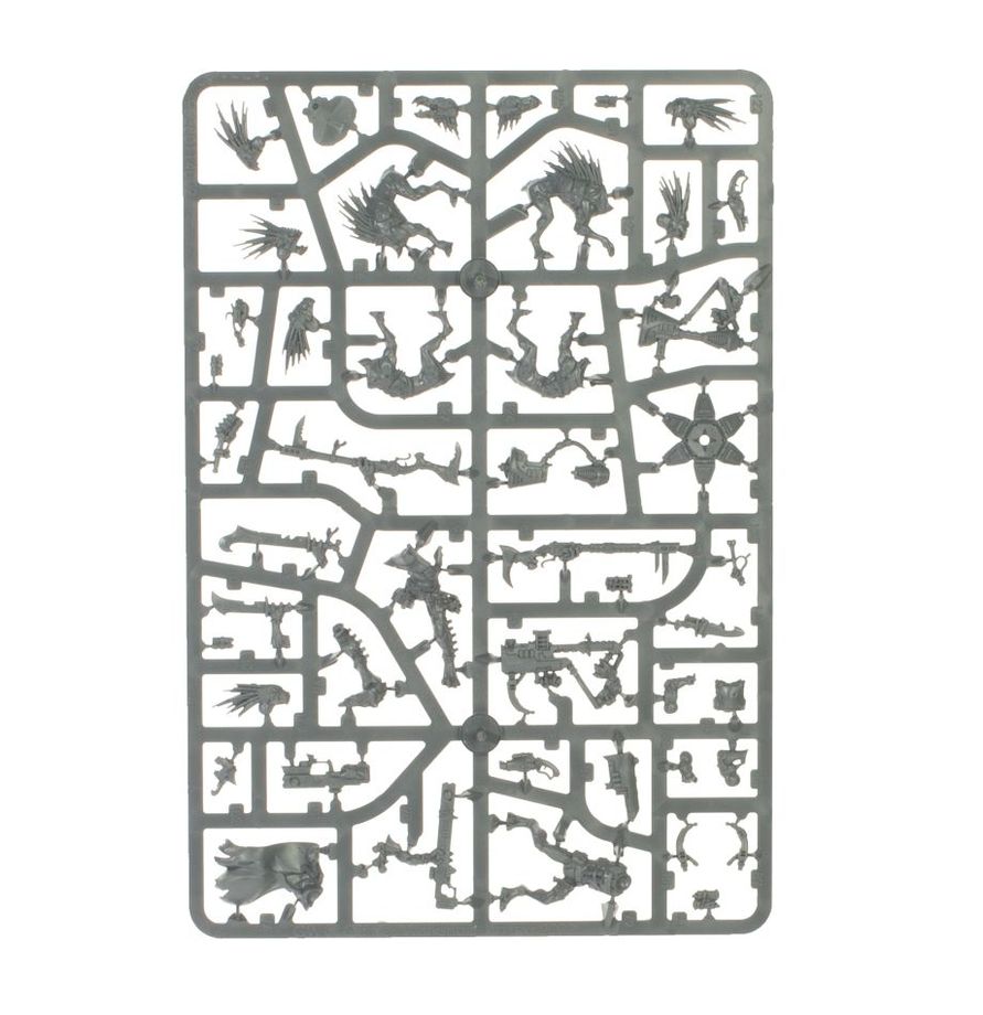 Combat Patrol: Kroot