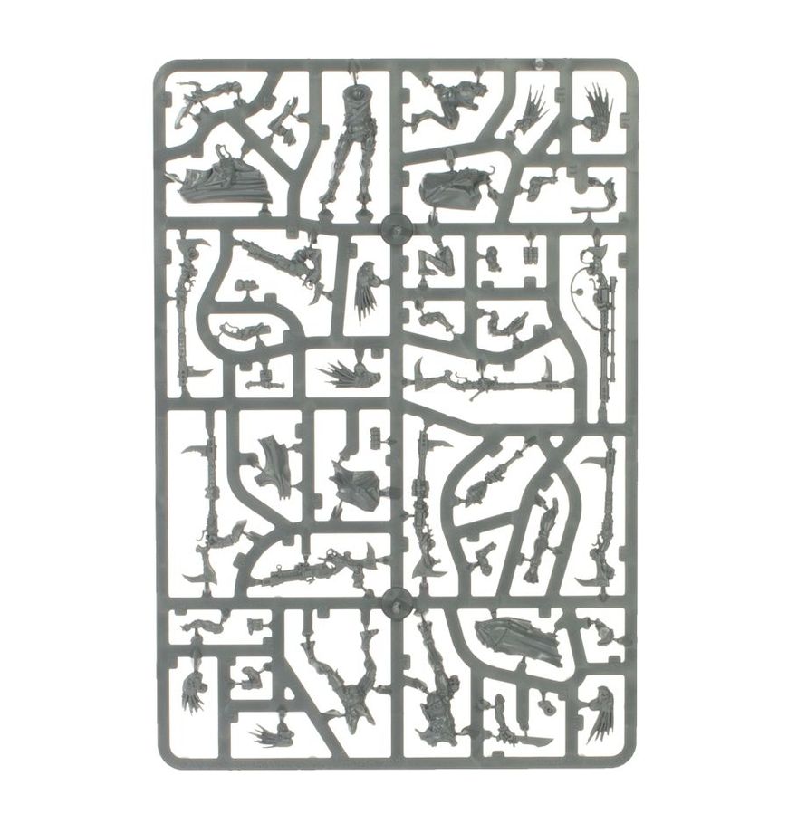Combat Patrol: Kroot