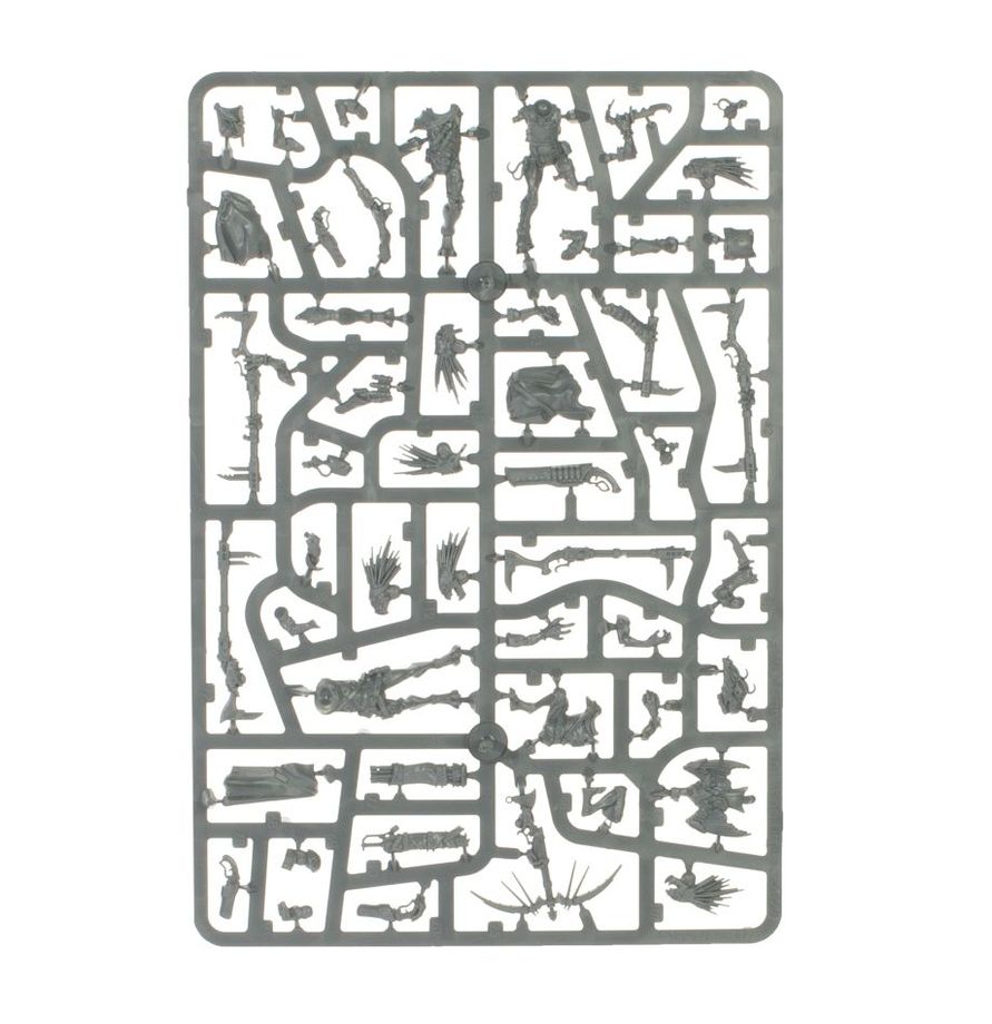 Combat Patrol: Kroot