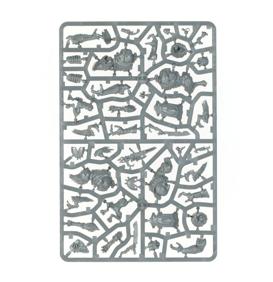 Combat Patrol: Kroot