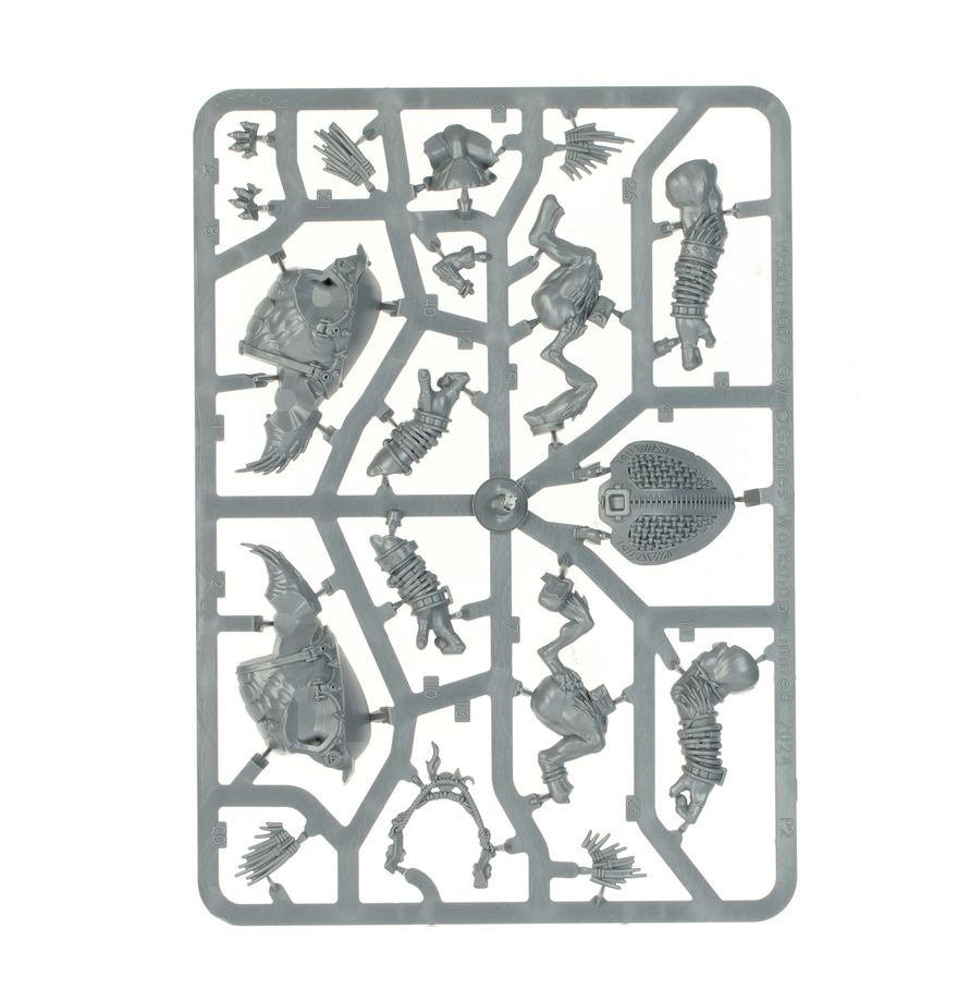 Combat Patrol: Kroot