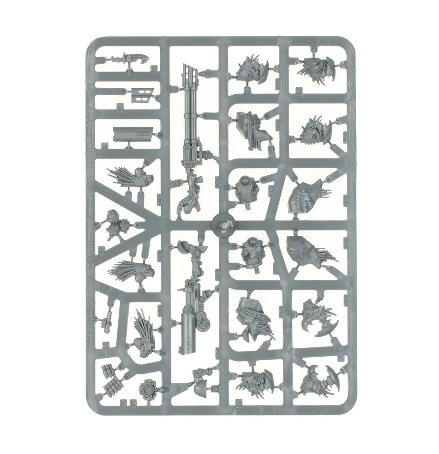 Combat Patrol: Kroot