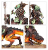 Combat Patrol: Kroot