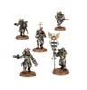 Solar Auxilia: Combat Force