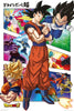 Dragonball Z 24x36 Poster