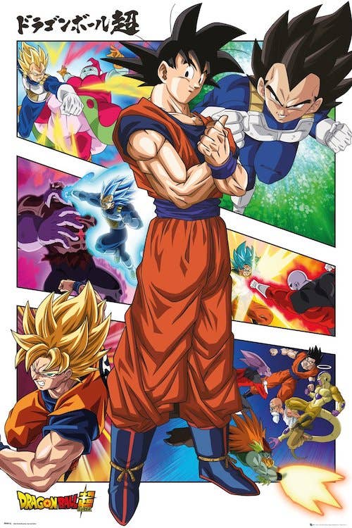 Dragonball Z 24x36 Poster