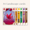 Momiji - Boardgame