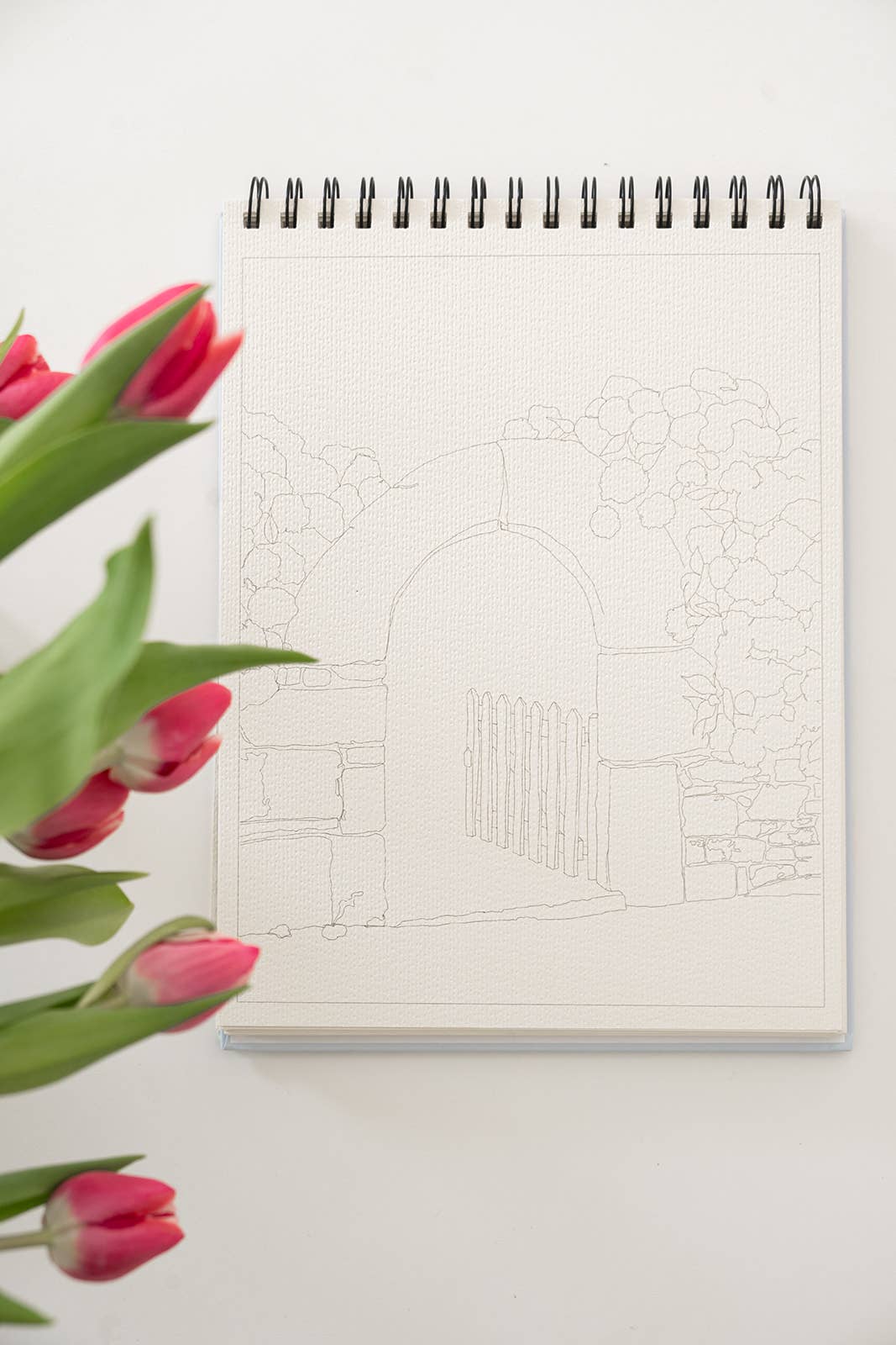Watercoloring Book - Landscape Outlines with Video Tutorials